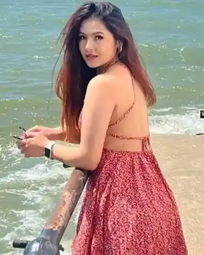 Halebid Escort Service